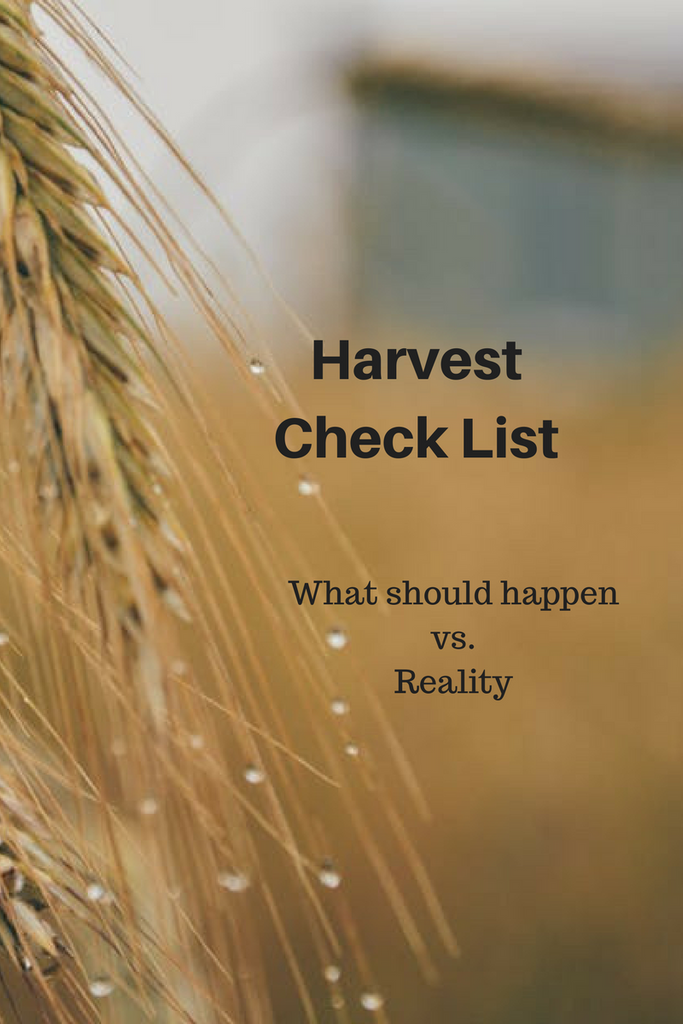 Harvest Time - Dream Vs. Reality