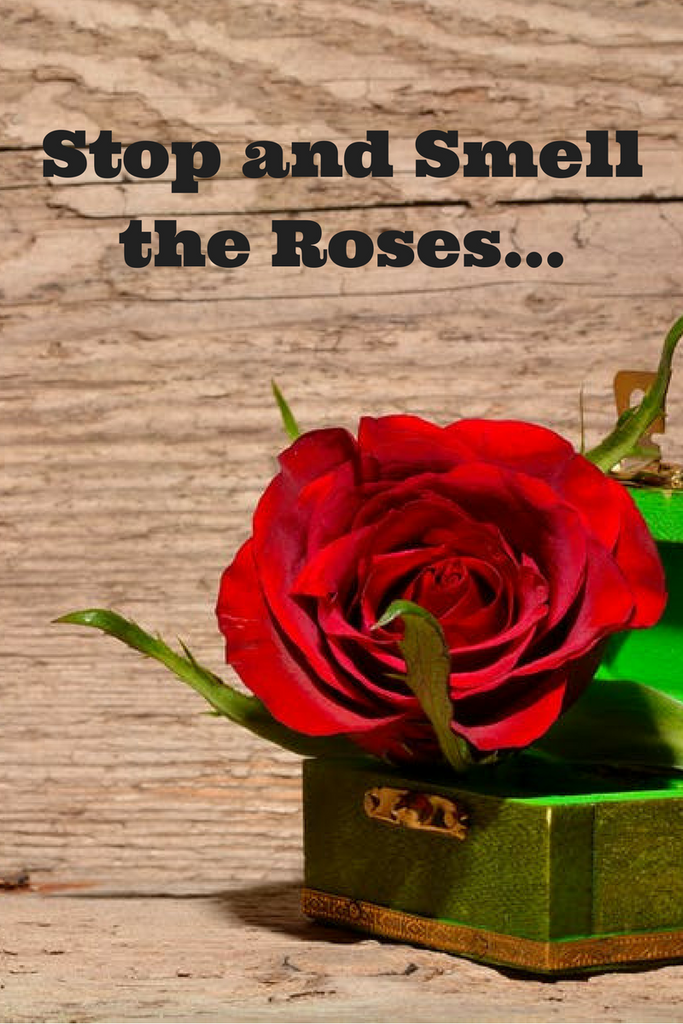 Stop and Smell the Roses