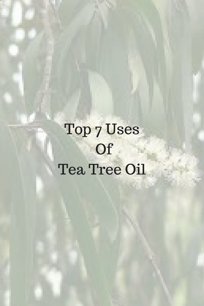 Top 7 Tea Tree Oil Uses